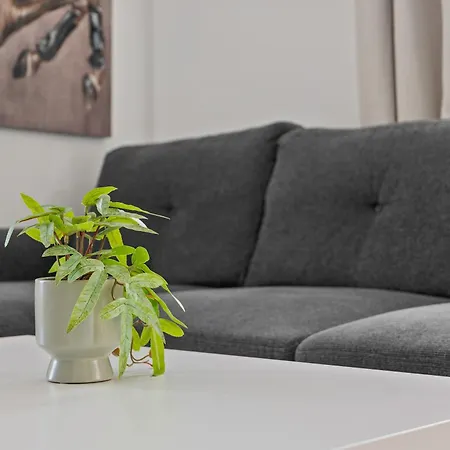 Apartament Skylawn Retreat Free Parking Bukareszt